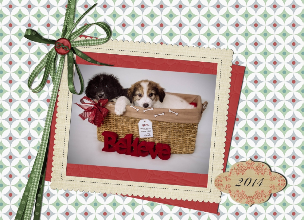 Philadelphia Puppy Holiday Card