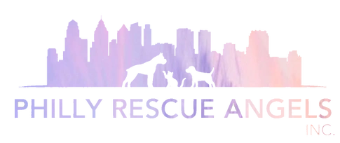 phillyh rescue angels logo