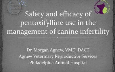 Dr. Morgan Agnew Presents Pentoxyfilline Use Case