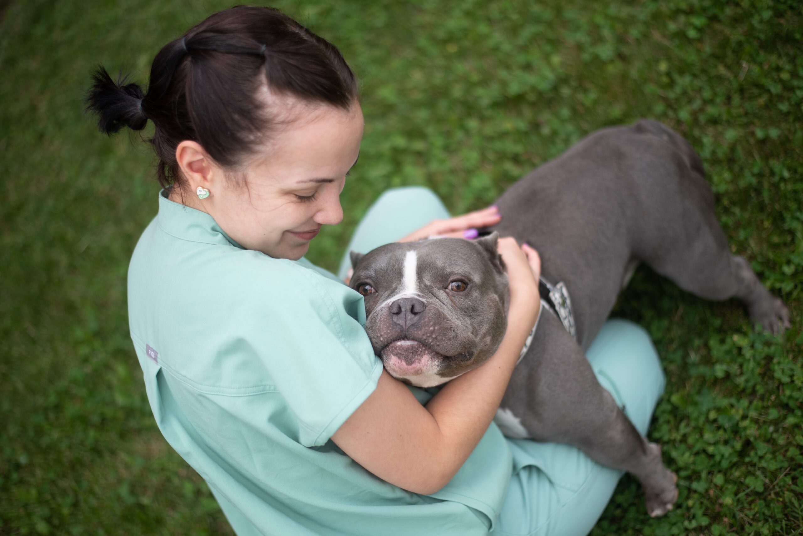 veterinary technician in blue scrubs posing with grey pitbull